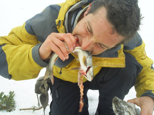 photo 4 in Bear Grylls gallery [id355294] 2011-03-11 00:00:00