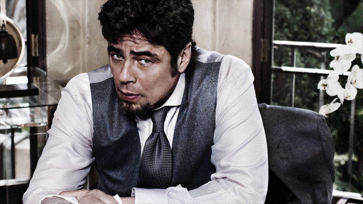 photo 7 in Benicio Del Toro gallery [id313706] 2010-12-15 00:00:00