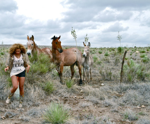 Beyonce Knowles pic #521864