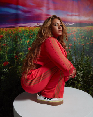 photo 25 in Beyonce Knowles gallery [id1240465] 2020-11-17 00:00:00
