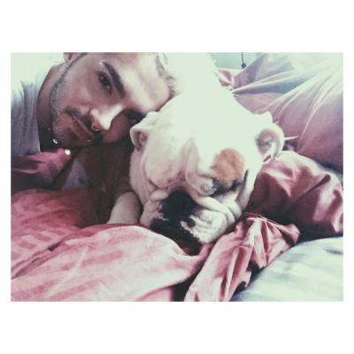 Bill Kaulitz pic #799552