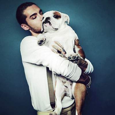 Bill Kaulitz pic #858873