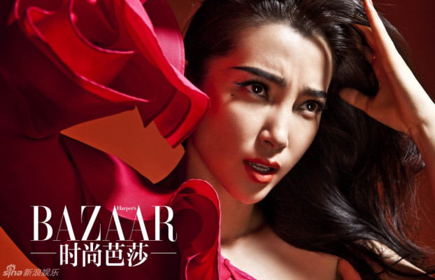 photo 5 in Bingbing Li gallery [id591152] 2013-04-02 00:00:00