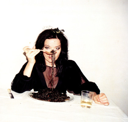 photo 8 in Bjork gallery [id226265] 2010-01-15 00:00:00