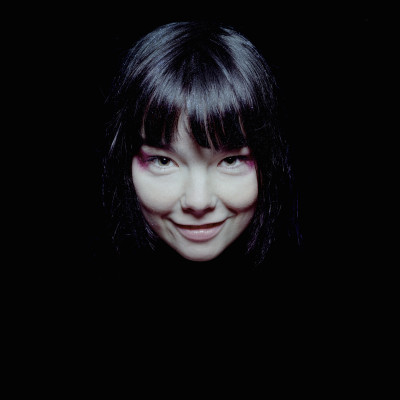 Bjork pic #114162