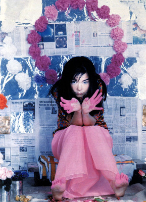 Bjork pic #13632