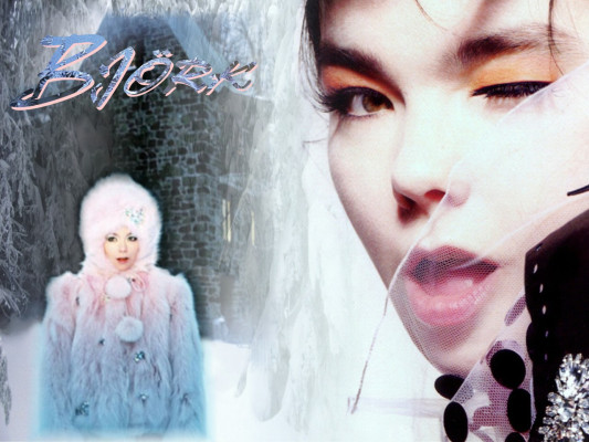 Bjork pic #69045