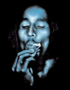 photo 15 in Marley gallery [id34786] -0001-11-30 00:00:00