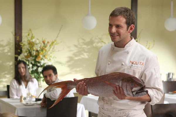 Bradley Cooper pic #310097