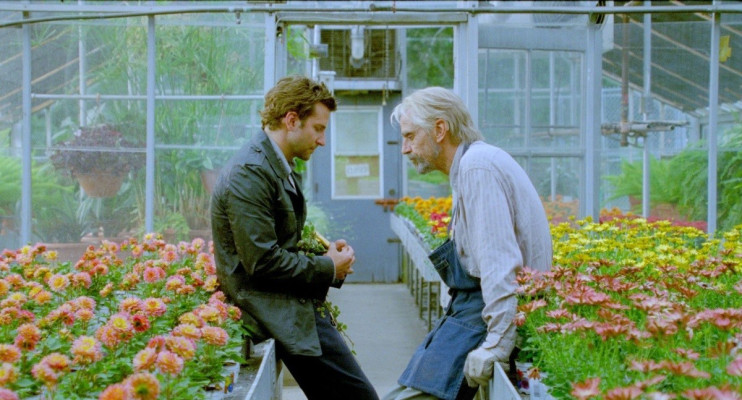 photo 28 in Bradley Cooper gallery [id461511] 2012-03-17 00:00:00