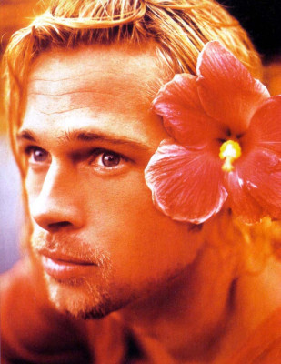 Brad Pitt pic #225475