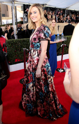 Brie Larson pic #1001051