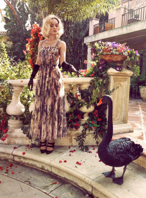 Brie Larson pic #1104482