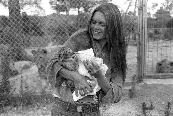 Brigitte Bardot pic #135513