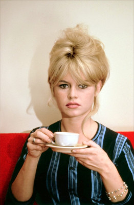 photo 18 in Brigitte Bardot gallery [id188333] 2009-10-08 00:00:00
