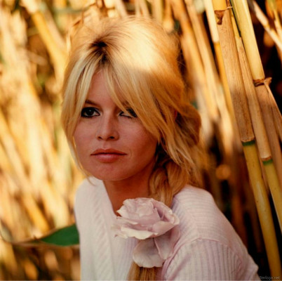 Brigitte Bardot pic #480963