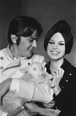 photo 8 in Brigitte Bardot gallery [id474246] 2012-04-11 00:00:00