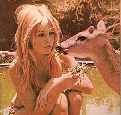 photo 6 in Brigitte Bardot gallery [id175968] 2009-08-10 00:00:00