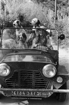 Brigitte Bardot pic #368101