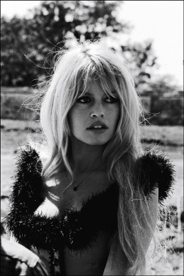 photo 20 in Brigitte Bardot gallery [id229138] 2010-01-21 00:00:00