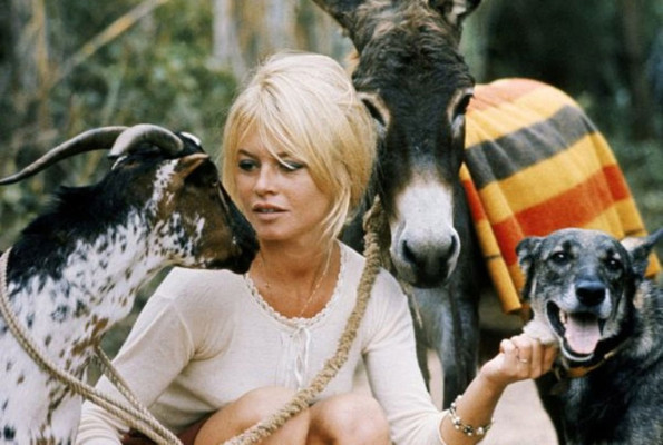 photo 3 in Brigitte Bardot gallery [id164145] 2009-06-23 00:00:00