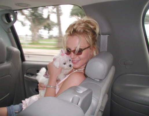 Britney Spears pic #448931