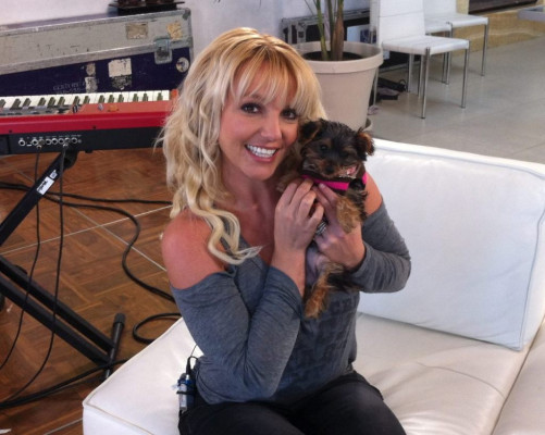 photo 4 in Britney Spears gallery [id557874] 2012-12-02 00:00:00