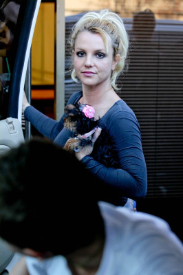 photo 8 in Britney Spears gallery [id560721] 2012-12-12 00:00:00