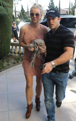 photo 4 in Britney Spears gallery [id570301] 2013-01-25 00:00:00
