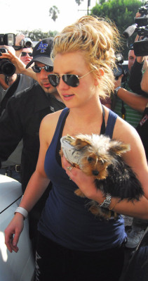 Britney Spears pic #487985