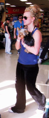 Britney Spears pic #487983