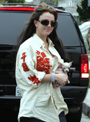 Britney Spears pic #505515