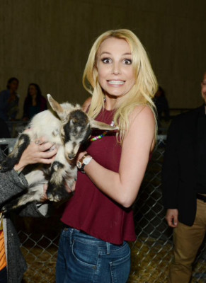 photo 10 in Britney Spears gallery [id795116] 2015-09-07 00:00:00