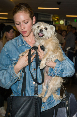 Brittany Snow pic #923288