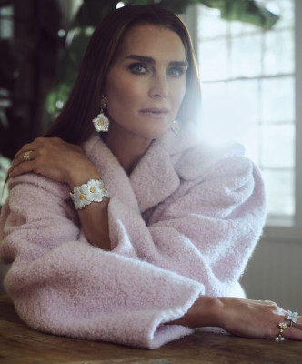 Brooke Shields pic #1319207