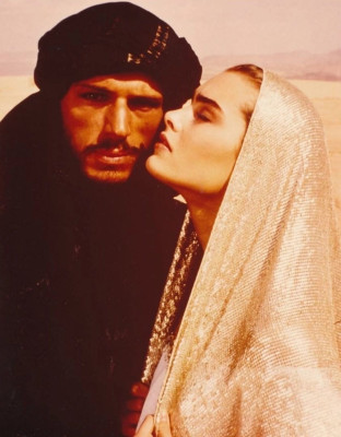 Brooke Shields pic #1327588