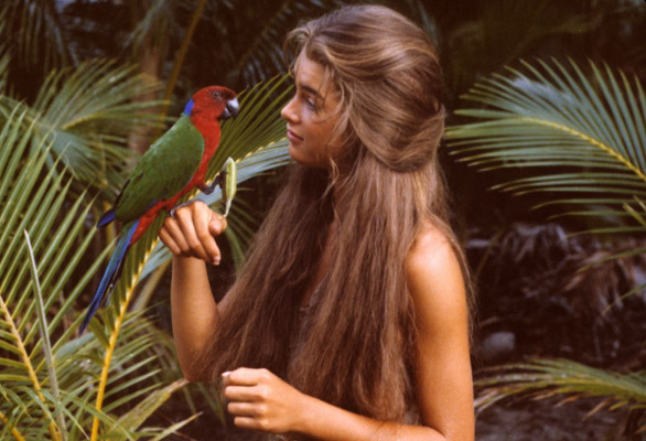 Brooke Shields pic #1310224