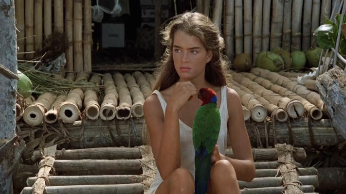 Brooke Shields pic #1310223