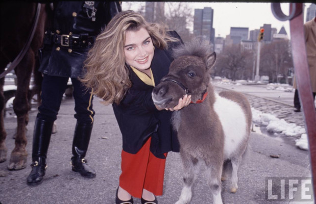 Brooke Shields pic #185946
