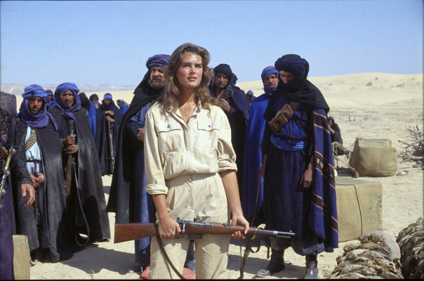 Brooke Shields pic #1327586
