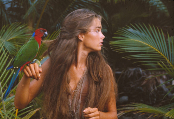 Brooke Shields pic #1310226