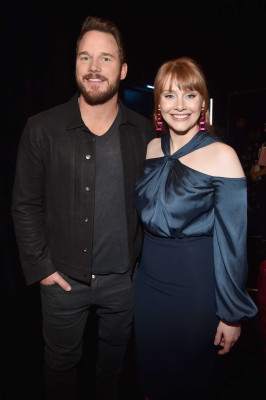 Bryce Dallas Howard pic #1032278