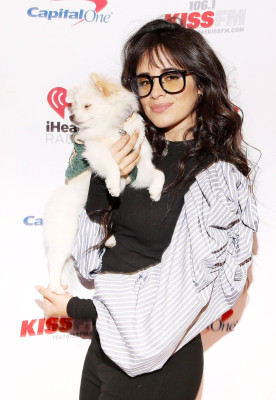 Camila Cabello pic #1193400