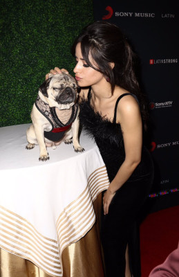 Camila Cabello pic #981019