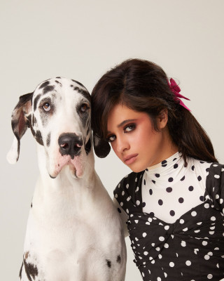 Camila Cabello pic #1273710