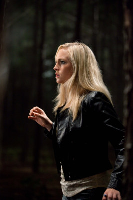 Candice Accola pic #862647