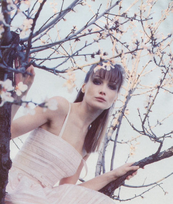 Carla Bruni pic #69004