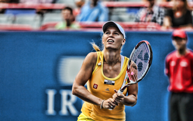 photo 7 in Wozniacki gallery [id1198164] 2020-01-10 00:00:00