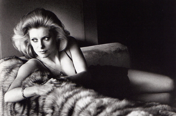 photo 6 in Deneuve gallery [id1317474] 2022-12-16 00:00:00