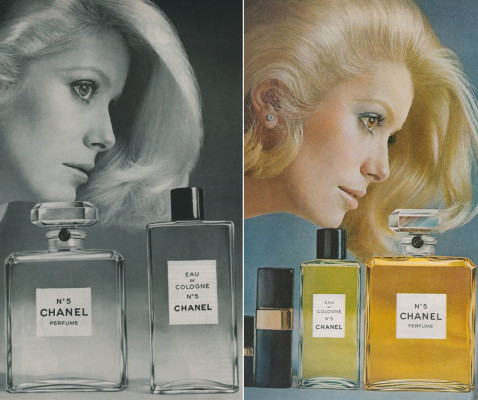 photo 26 in Catherine Deneuve gallery [id349365] 2011-02-28 00:00:00